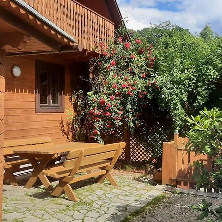 Вилла Chata Gorska Sowa Dla 12 Osob, 4 Sypialnie,Salon Z Kominkiem Подгужин Экстерьер фото