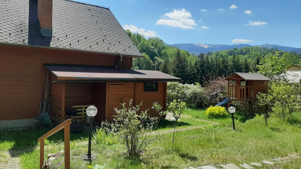 Вилла Chata Gorska Sowa Dla 12 Osob, 4 Sypialnie,Salon Z Kominkiem Подгужин Экстерьер фото