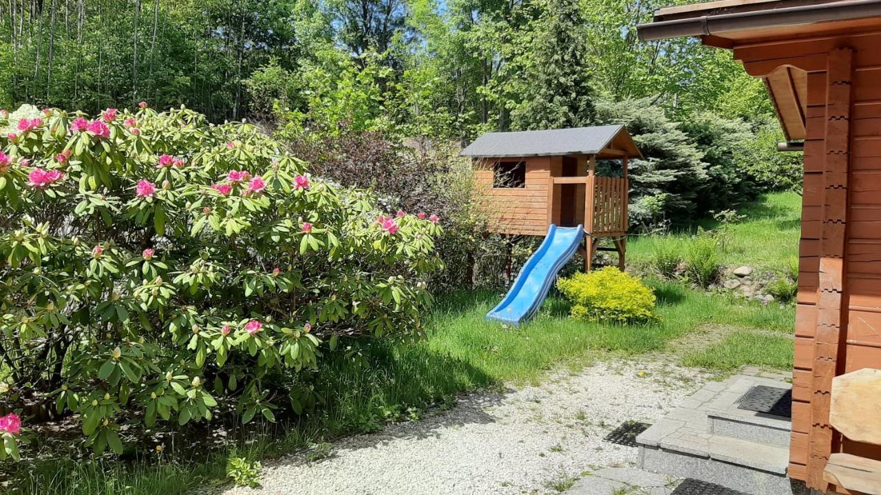Вилла Chata Gorska Sowa Dla 12 Osob, 4 Sypialnie,Salon Z Kominkiem Подгужин Экстерьер фото