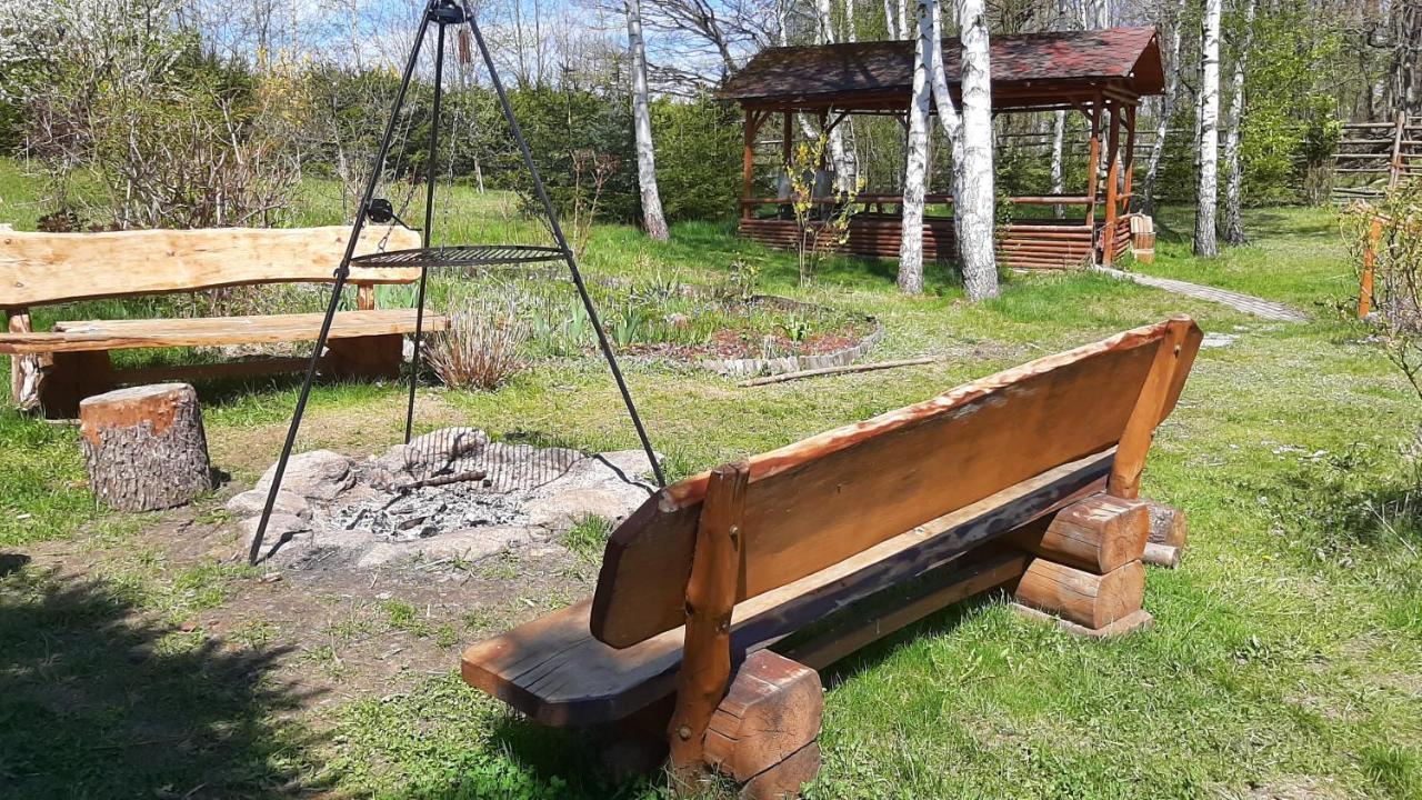 Вилла Chata Gorska Sowa Dla 12 Osob, 4 Sypialnie,Salon Z Kominkiem Подгужин Экстерьер фото