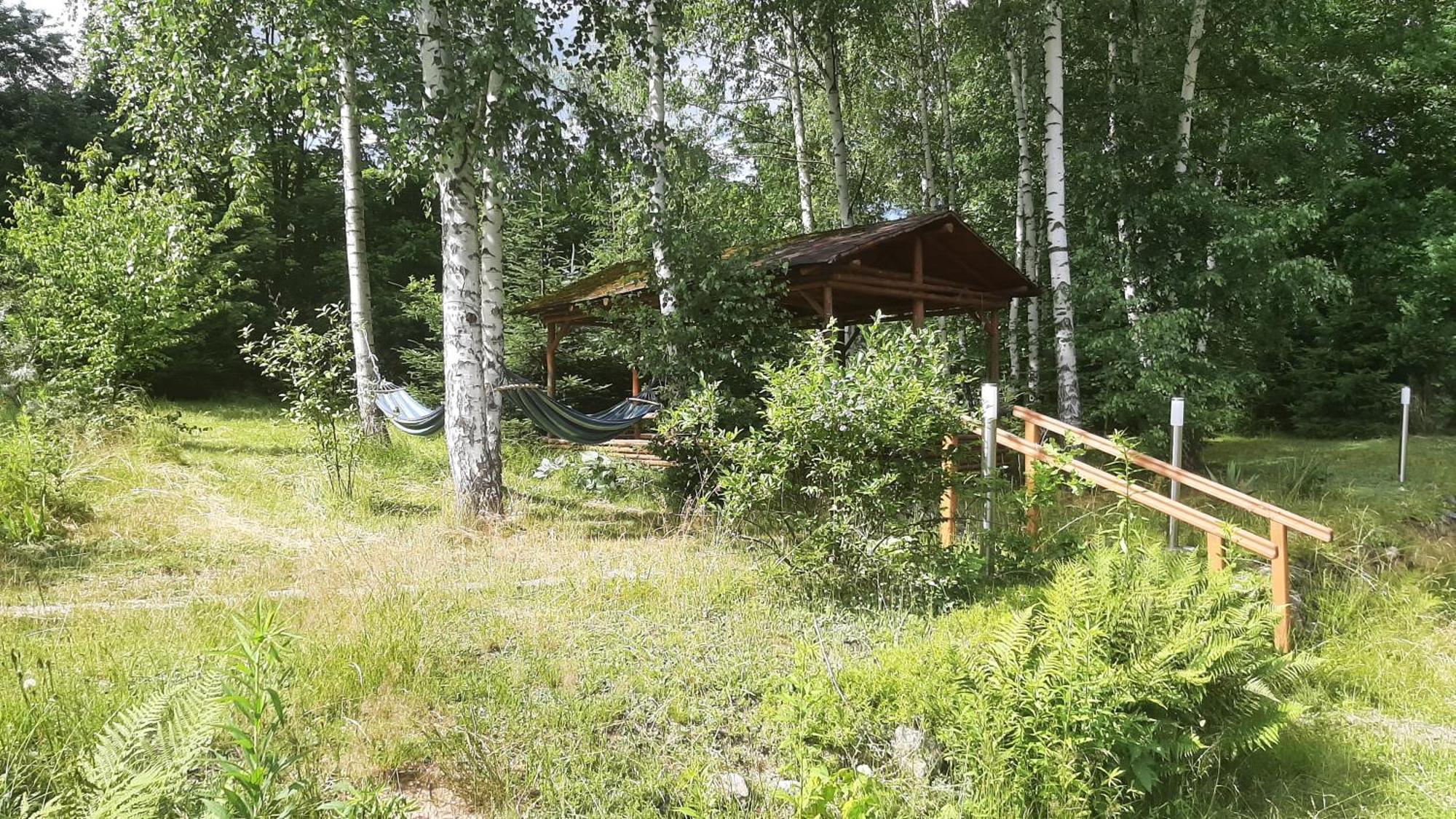 Вилла Chata Gorska Sowa Dla 12 Osob, 4 Sypialnie,Salon Z Kominkiem Подгужин Экстерьер фото